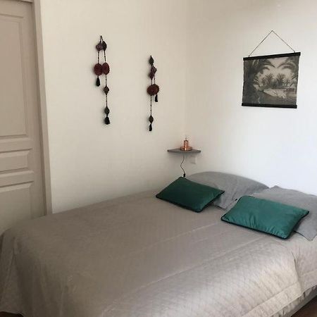 Bord De Tarn Apartment Albi Bagian luar foto