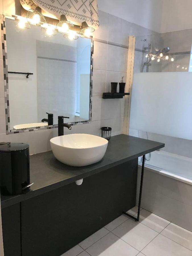 Bord De Tarn Apartment Albi Bagian luar foto
